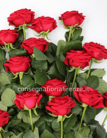 Mazzo 12 Rose rosse a gambo lungo